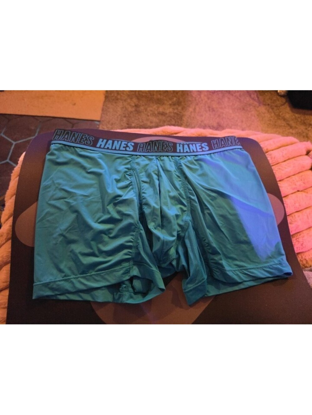Hanes Nylon 'Moves' Boxerbrief Teal Men's Size Large 1 Pack